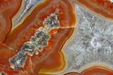 Beautiful Condor Agate From Argentina - Cut/Polished Face #79523-1